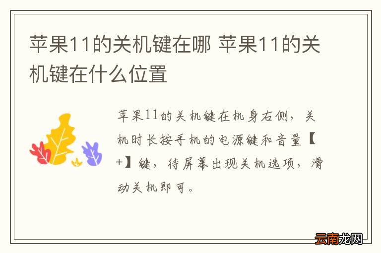 苹果11的关机键在哪 苹果11的关机键在什么位置