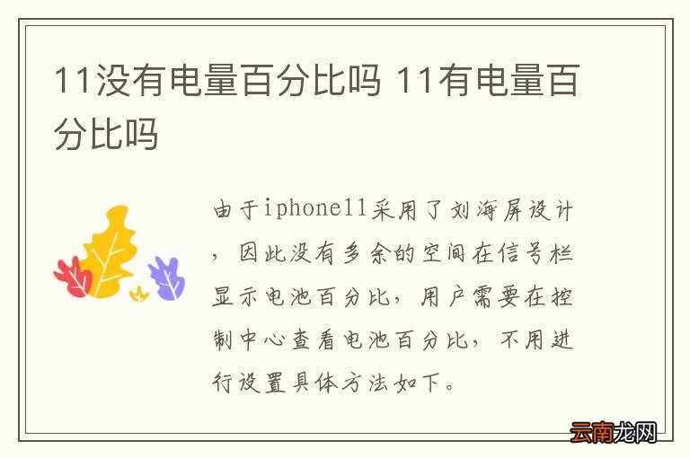 11没有电量百分比吗 11有电量百分比吗