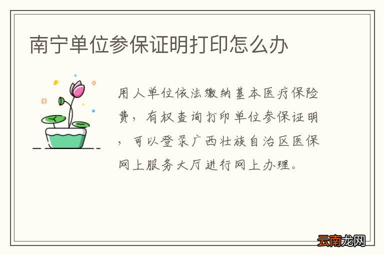 南宁单位参保证明打印怎么办