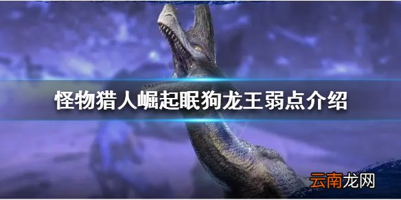 怪物猎人崛起眠狗龙王的弱点在哪 眠狗龙王弱点介绍