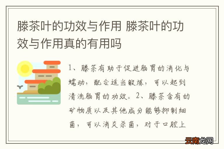 滕茶叶的功效与作用 滕茶叶的功效与作用真的有用吗