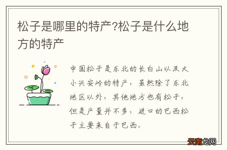 松子是哪里的特产?松子是什么地方的特产