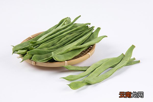芸豆的功效与作用 吃芸豆的好处