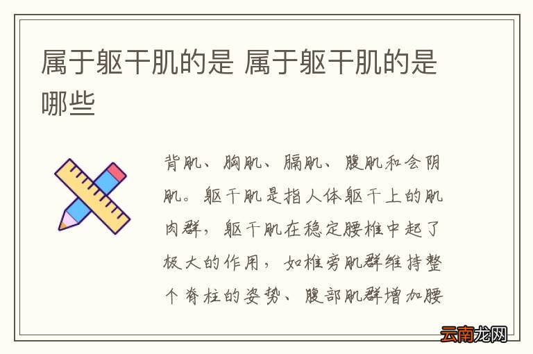 属于躯干肌的是 属于躯干肌的是哪些