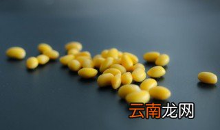 黄豆粟米浆做法窍门 黄豆粟米浆怎么做