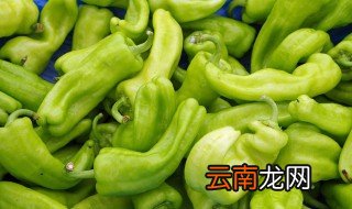 凉拌生线椒怎么做好吃 凉拌线椒的做法