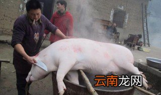 猪下水怎么做 怎样做猪下水
