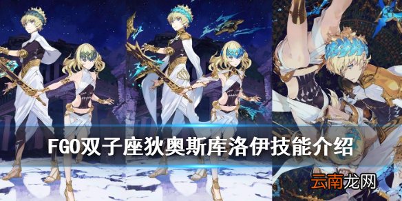 FGO狄奥斯库洛伊技能宝具一览 FGO双子座狄奥斯库洛伊介绍