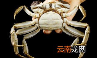 新鲜螃蟹怎么储存 如何保存新鲜螃蟹