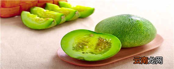 春季露地香瓜种植技术