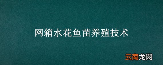 网箱水花鱼苗养殖技术