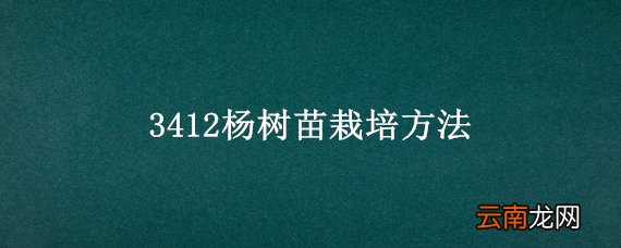 3412杨树苗栽培方法