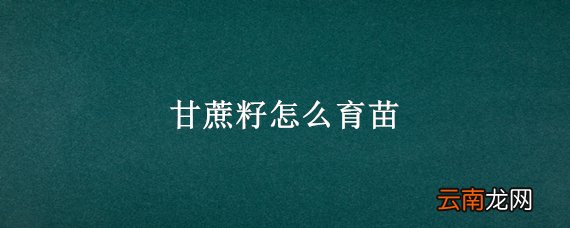 甘蔗籽怎么育苗