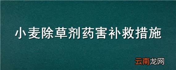 小麦除草剂药害补救措施