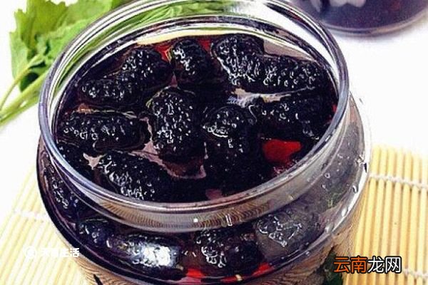 桑葚干泡酒的功效与作用 桑葚干泡酒的功效