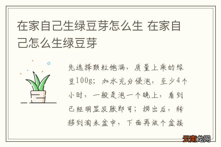 在家自己生绿豆芽怎么生 在家自己怎么生绿豆芽