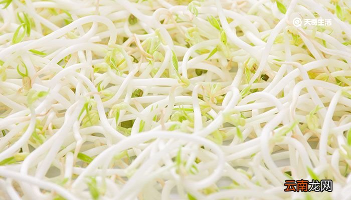 在家自己生绿豆芽怎么生 在家自己怎么生绿豆芽