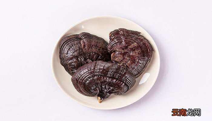 灵芝的功效与作用 灵芝有什么功效