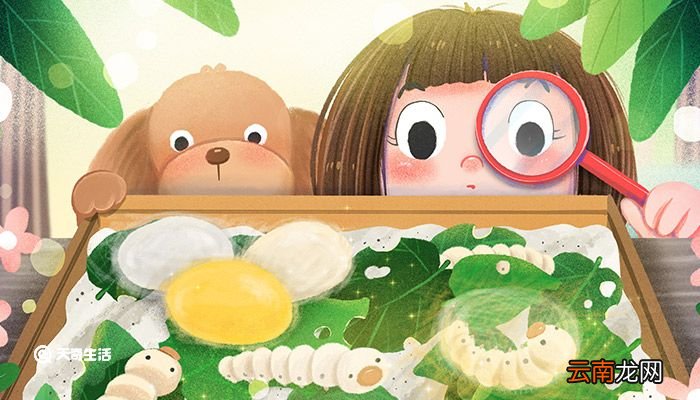 蚕宝宝的生长过程 蚕宝宝的生长过程是什么