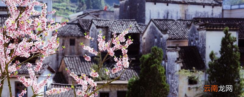 江南春寄托了什么之意 江南春流露出什么之感