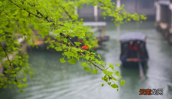 江南春寄托了什么之意 江南春流露出什么之感