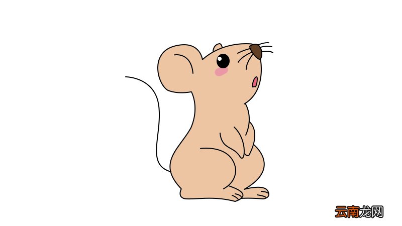 2020老鼠简笔画2020老鼠简笔画的画法