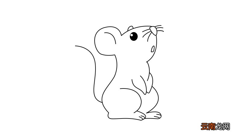 2020老鼠简笔画2020老鼠简笔画的画法