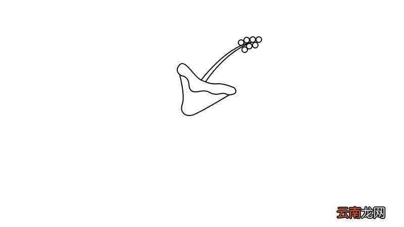 扶桑花简笔画怎么画扶桑花简笔画画法