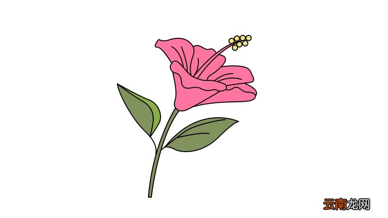 扶桑花简笔画怎么画扶桑花简笔画画法