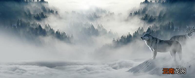 缀行甚远的缀什么意思 缀行甚远的意思是什么