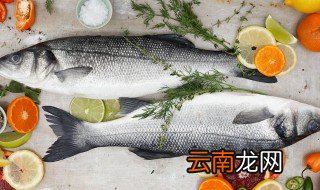 海鲈鱼和淡水鲈鱼的区别 海鲈鱼和淡水鲈鱼的区别有哪些