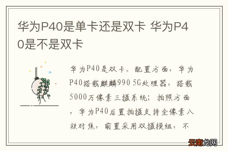 华为P40是单卡还是双卡 华为P40是不是双卡