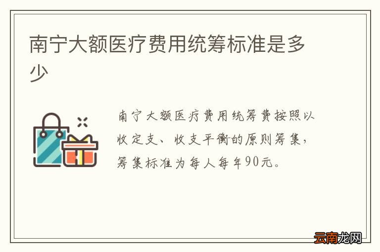 南宁大额医疗费用统筹标准是多少