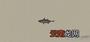 尼尔机械纪元钓鱼全可获得物品汇总 钓鱼有什么用 Carp