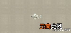 尼尔机械纪元钓鱼全可获得物品汇总 钓鱼有什么用 Carp
