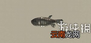 尼尔机械纪元钓鱼全可获得物品汇总 钓鱼有什么用 Carp