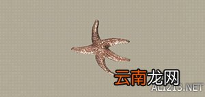 尼尔机械纪元钓鱼全可获得物品汇总 钓鱼有什么用 Carp