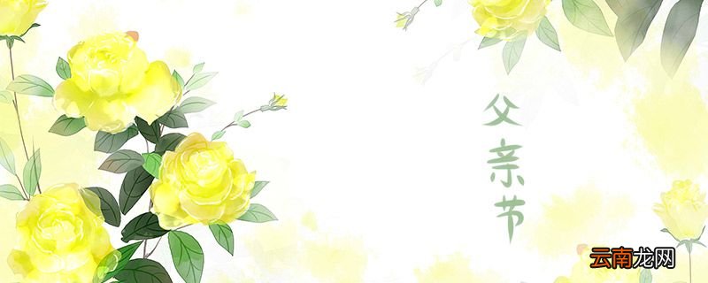 父亲节送什么花 父亲节适合送什么花