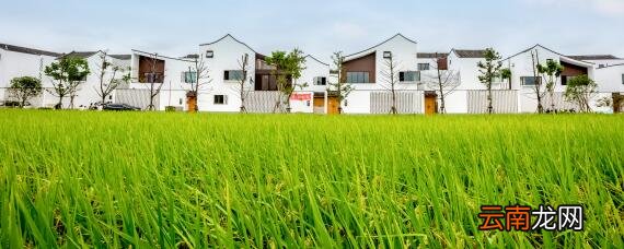 合作社怎么成立