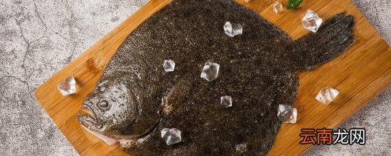 人工养殖多宝鱼是淡水鱼吗