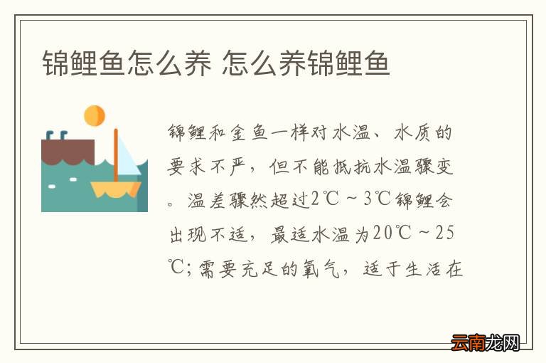 锦鲤鱼怎么养 怎么养锦鲤鱼