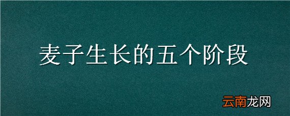 麦子生长的五个阶段