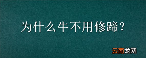 为什么牛不用修蹄