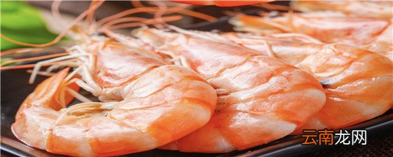 丰年虾怎么养殖和繁殖