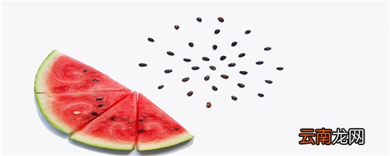 8424西瓜行距及株距