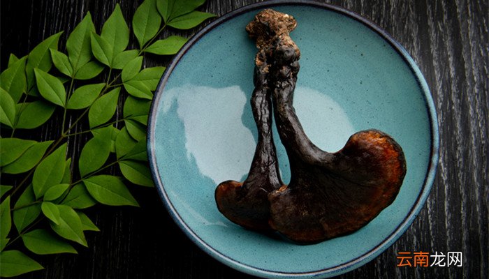 艾草熏屋子有什么作用 艾熏屋里的好处