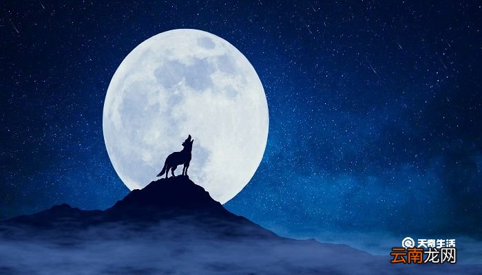 一屠暮行,为狼所迫翻译 狼译文一屠暮行