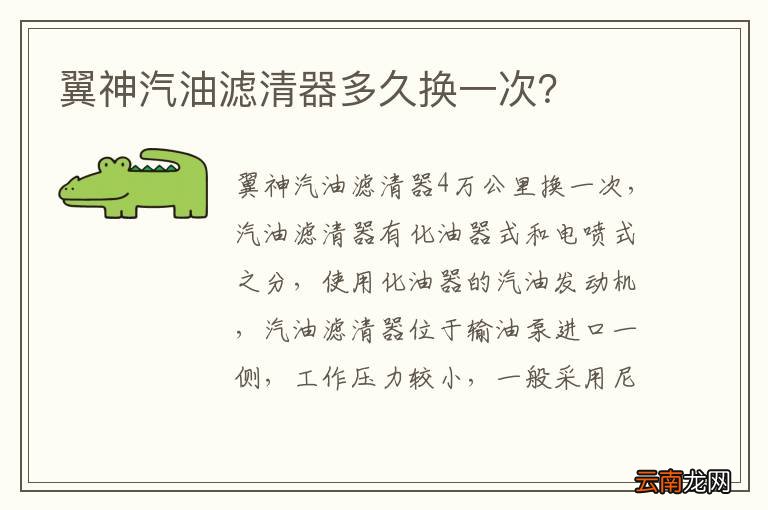 翼神汽油滤清器多久换一次？