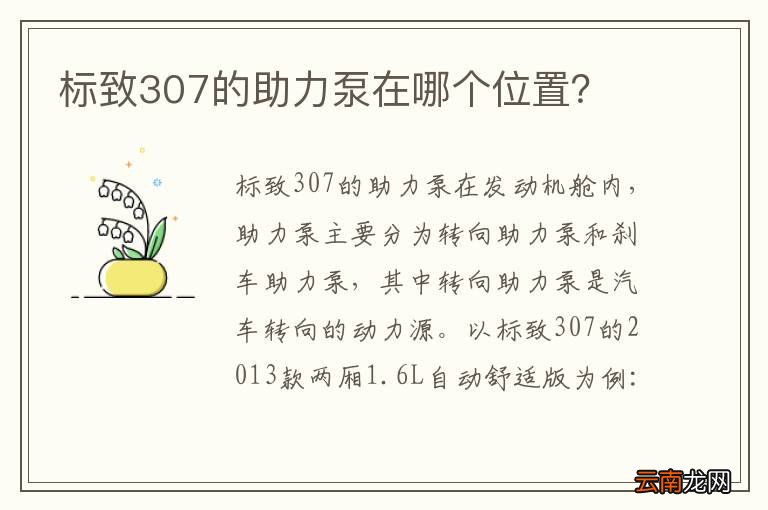 标致307的助力泵在哪个位置？