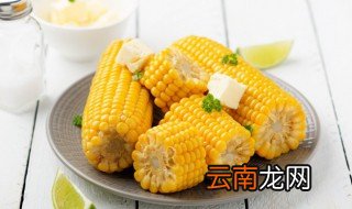 蜂窝玉米的做法 蜂窝玉米的烹饪方法